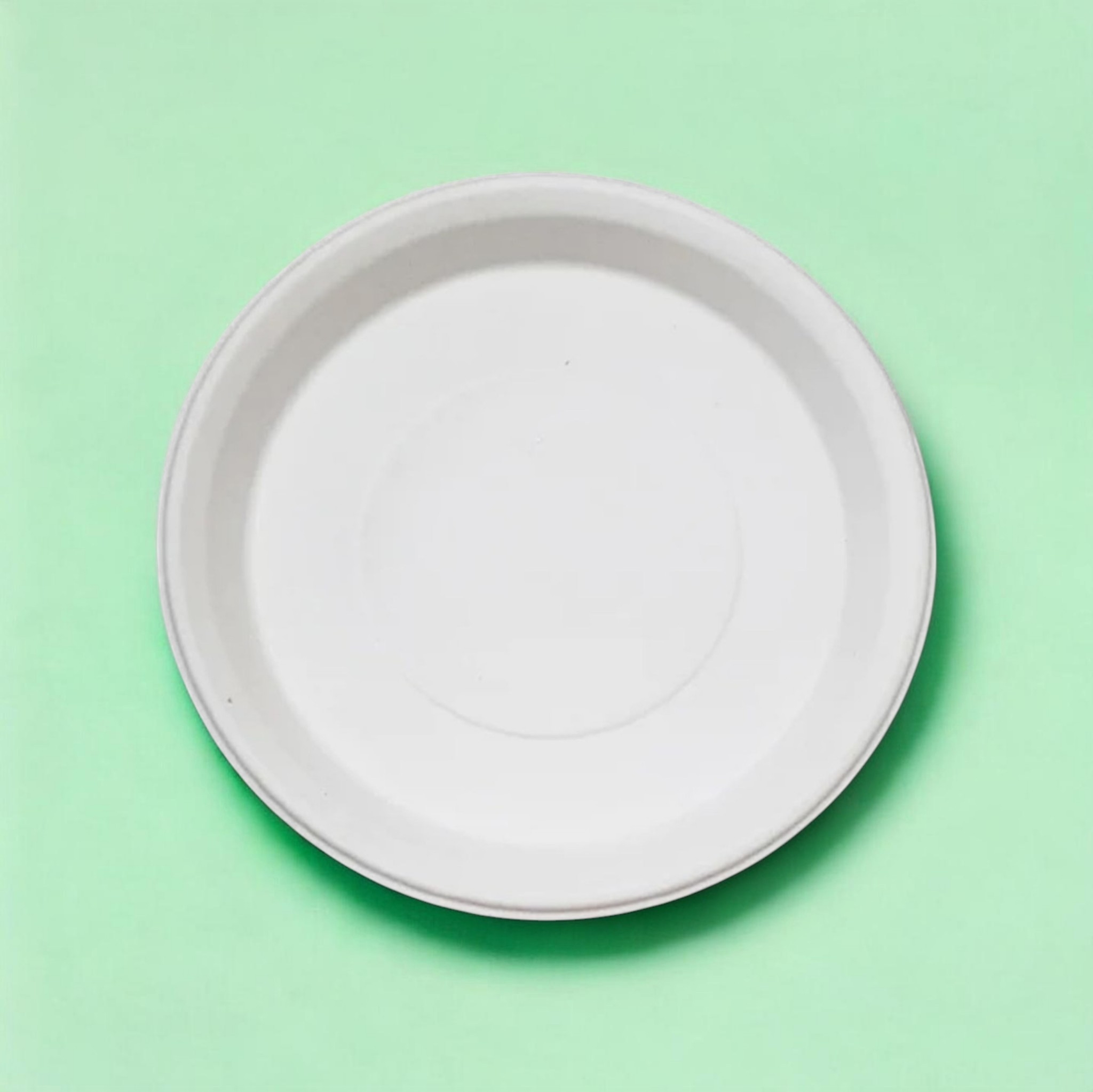 11-Inch Eco-Friendly Round Plates – Pack of 25)