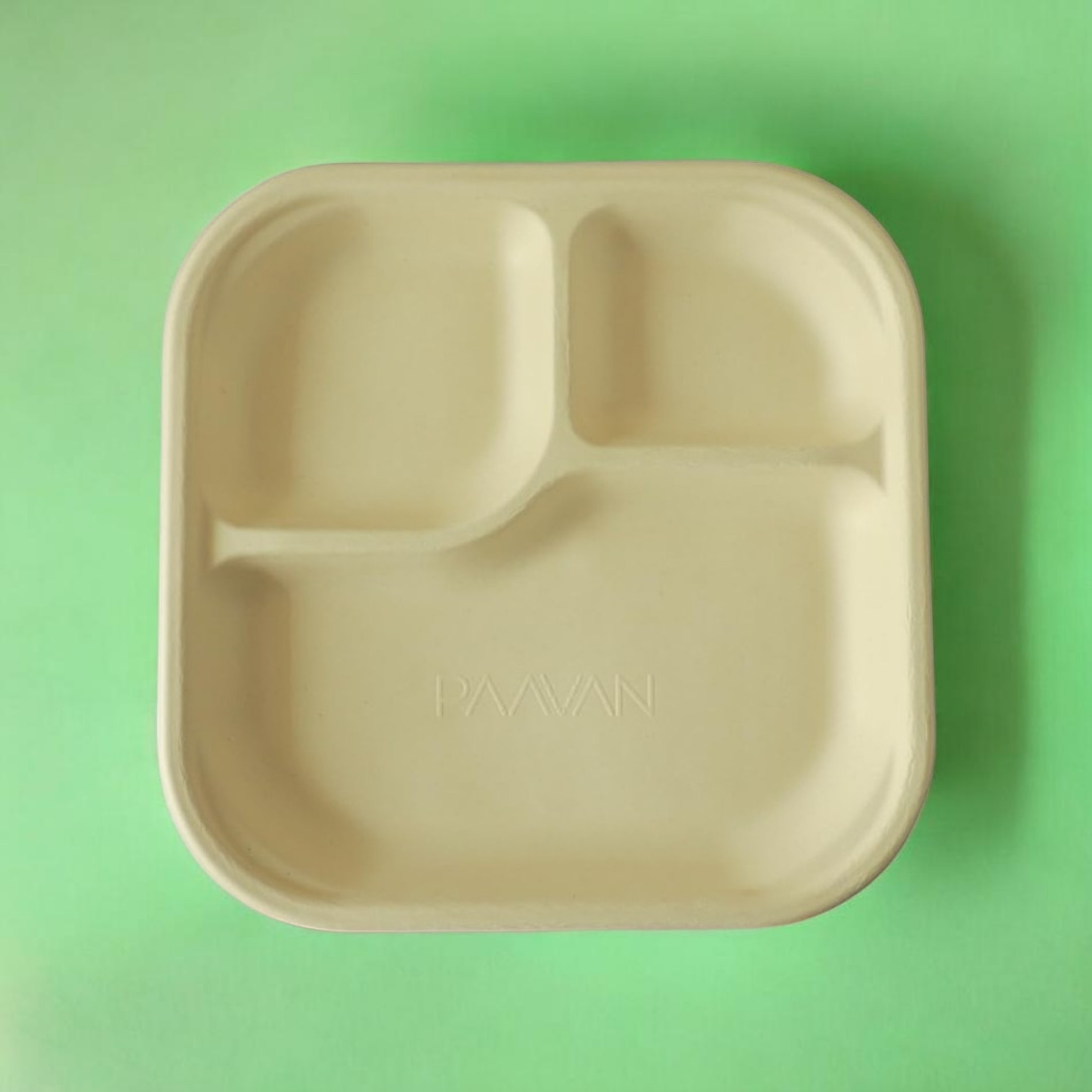 Leak-Proof 3 Compartment Disposable Plates (25 pcs)