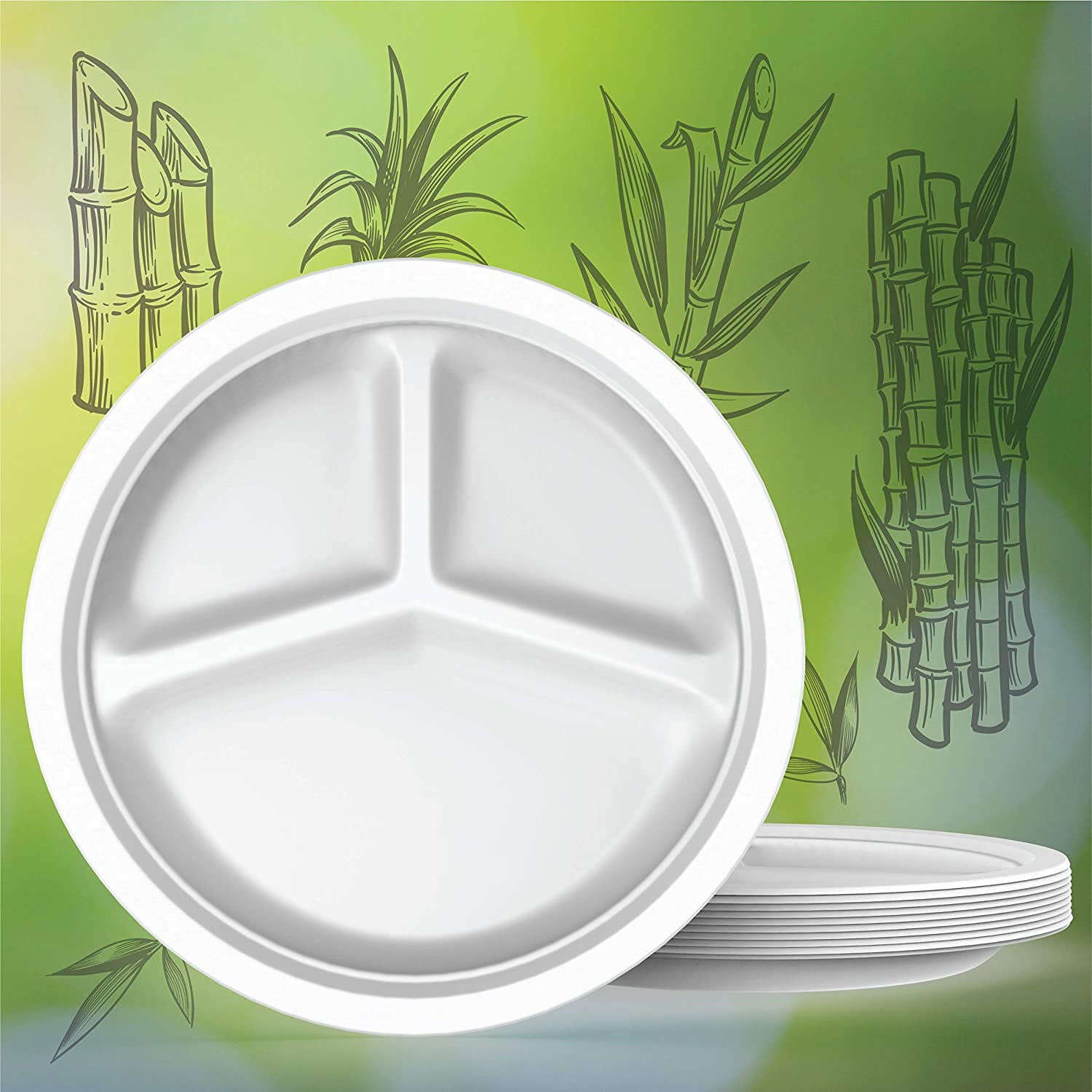 10 inch 3 Compartment Plate, Compostable Round Sugarcane Bagasse Plates, White, Pack of 25